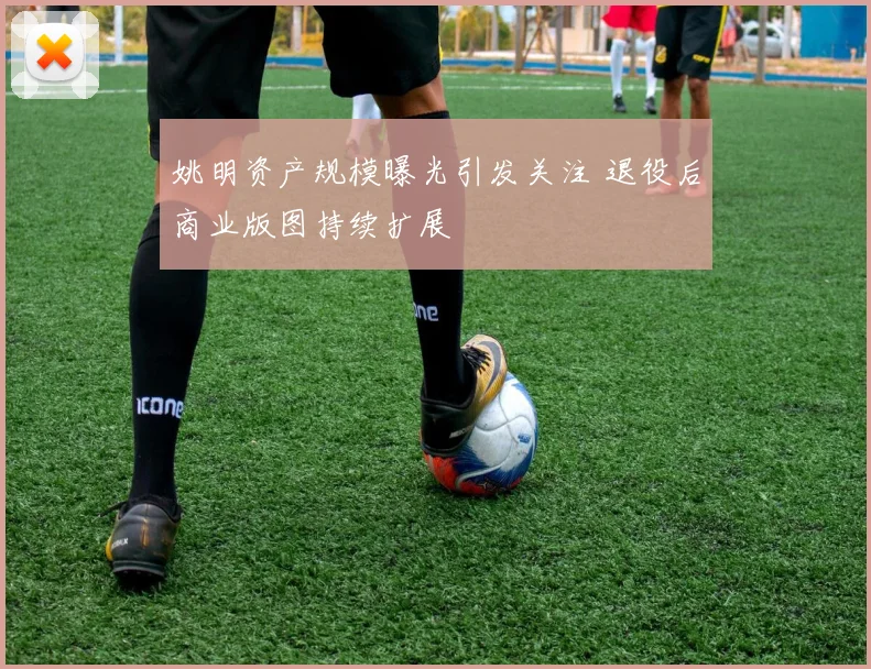 姚明资产规模曝光引发关注 退役后商业版图持续扩展