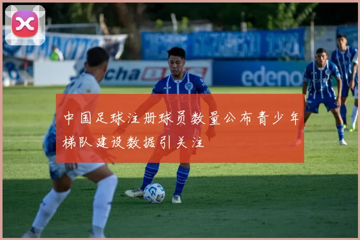 中国足球注册球员数量公布青少年梯队建设数据引关注