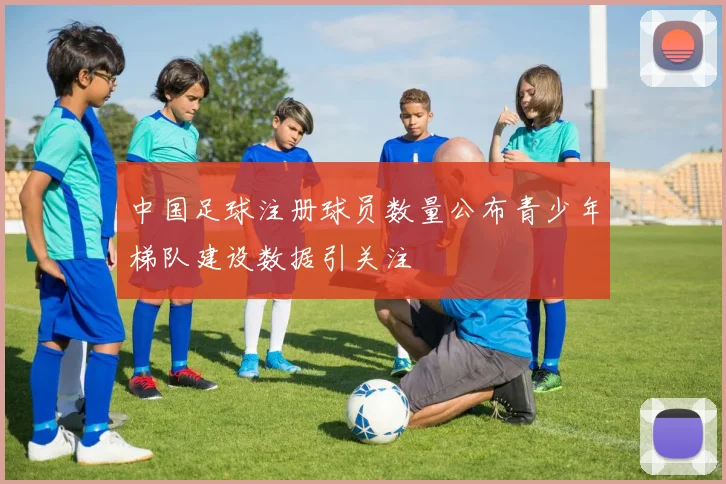 中国足球注册球员数量公布青少年梯队建设数据引关注