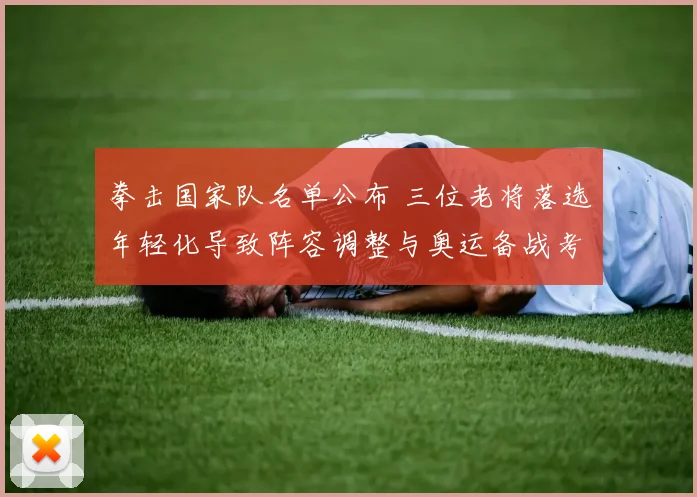 拳击国家队名单公布 三位老将落选年轻化导致阵容调整与奥运备战考量